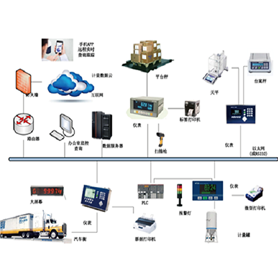  W-NET weighing network and remote management system