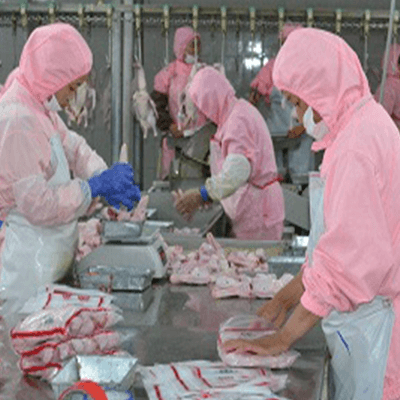 Weighing management system for the cooked meat processing industry