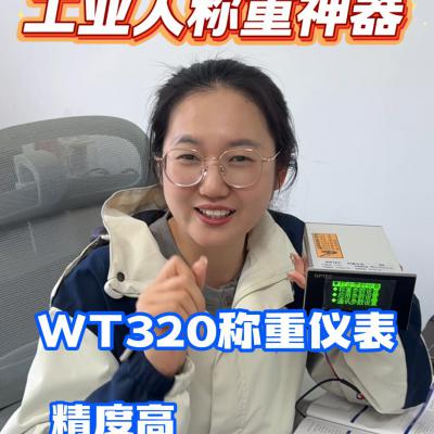 WT320称重仪表 精度高 好维护 性价比炸裂