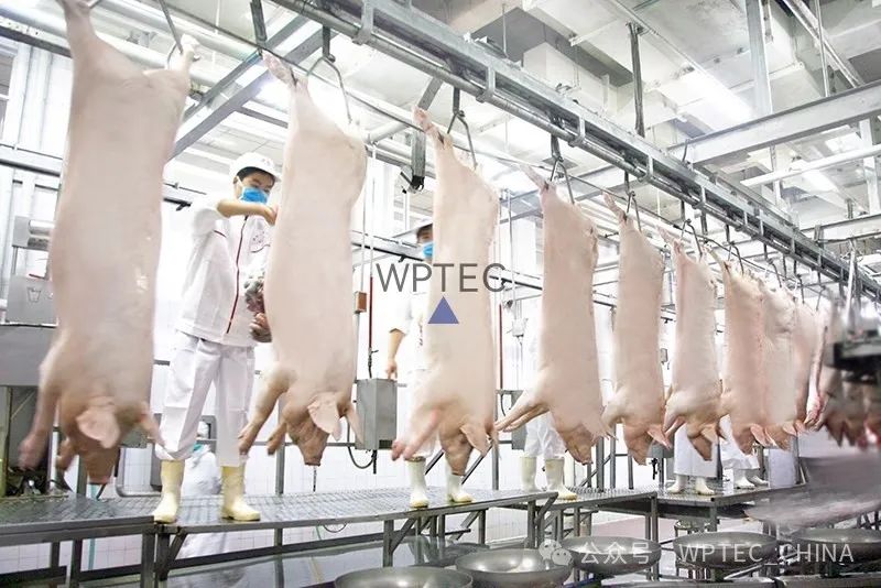 1753161752307246.jpg 猪肉1.jpg